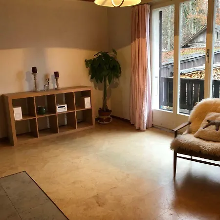 Spacious Overlooking Lake Brienz *