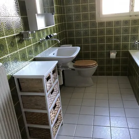 Spacious Overlooking Lake Brienz Apartment *